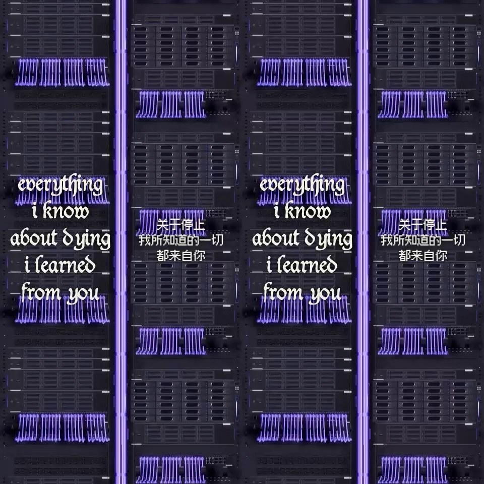 Everything I Know About Dying I Learned From You