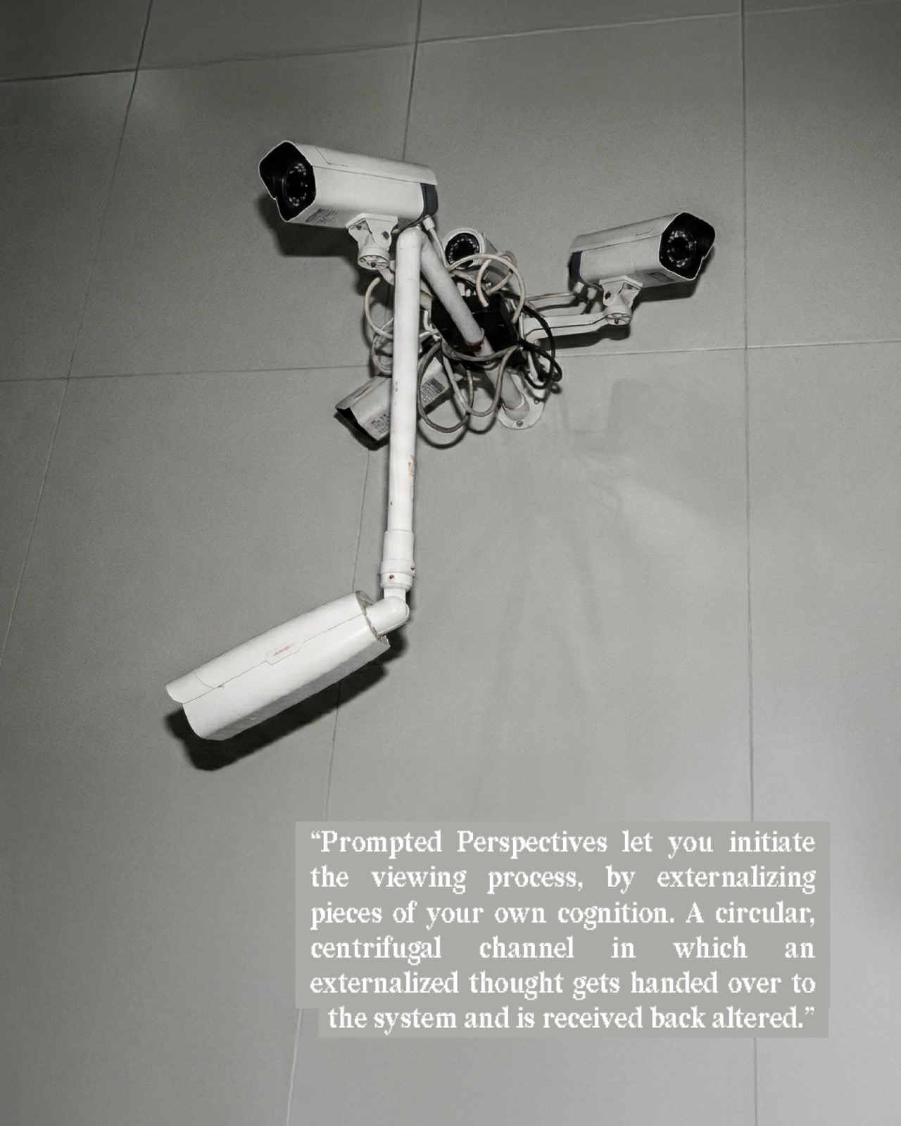 Prompted Perspectives